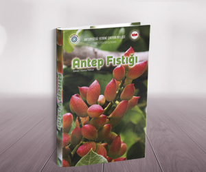 ANTEPFISTIıI VİTRİNE IKIYOR